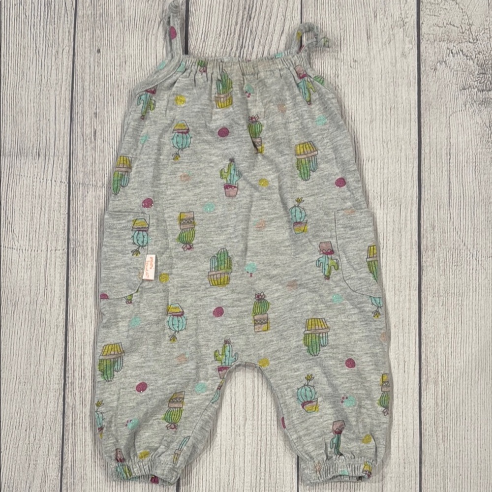 Baby Girls Cactus Print Gray Jumpsuit
